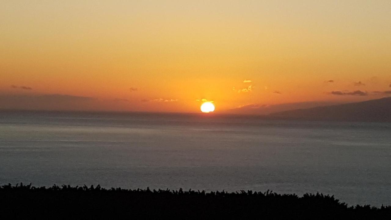 Casa Mariposa (adults Only) Bed & Breakfast Playa de San Juan (Tenerife)