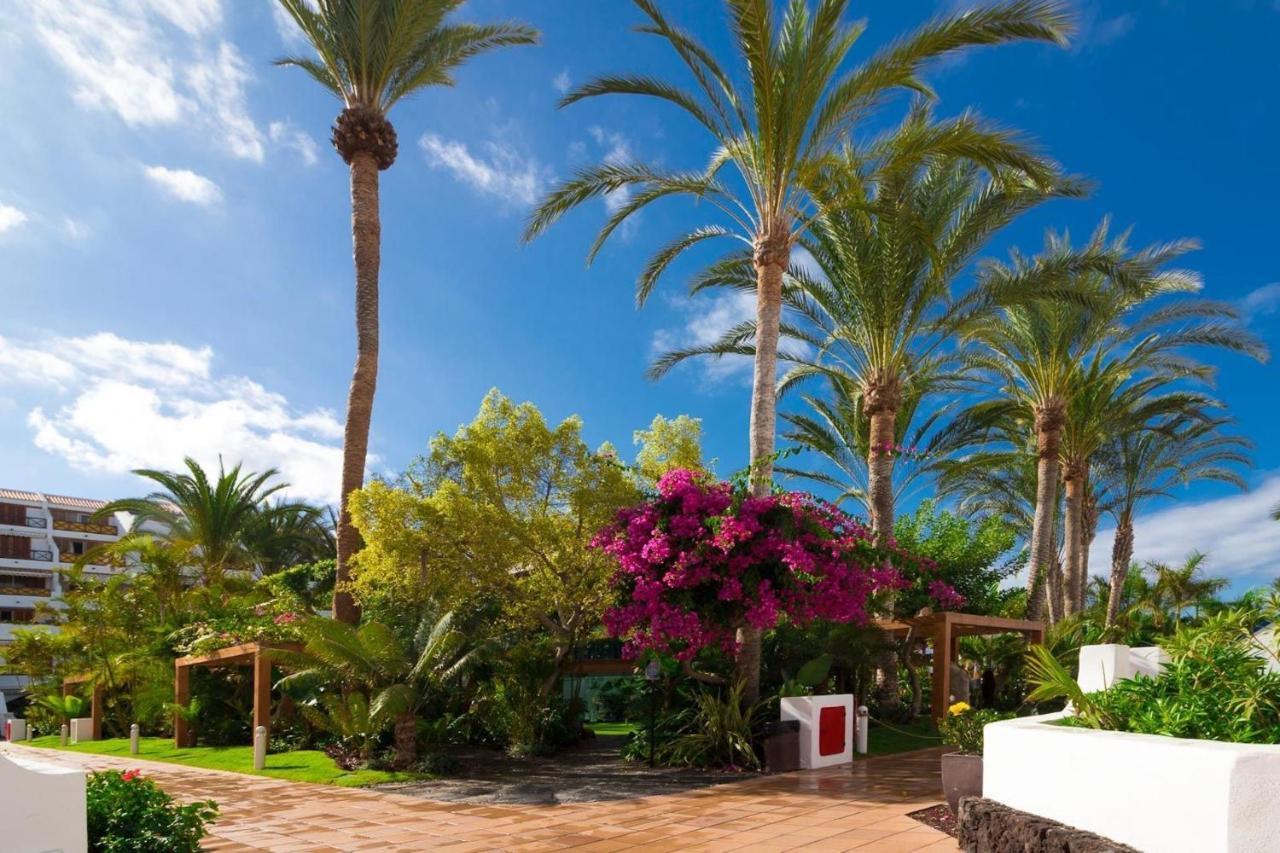 Duplex 3 Bed In Americas By Dream Homes Tenerife Appartement