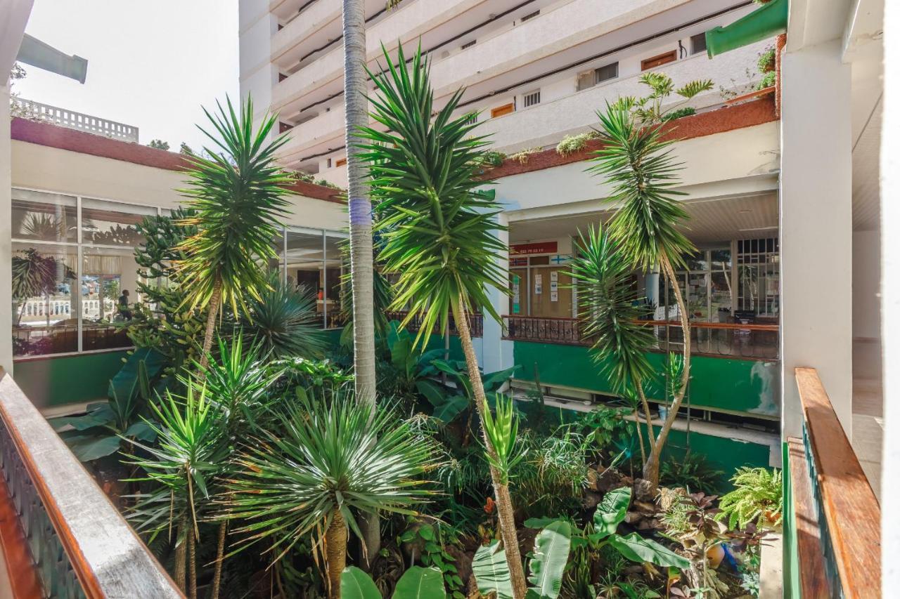 Apartment El Dorado Playa de las Americas (Tenerife)