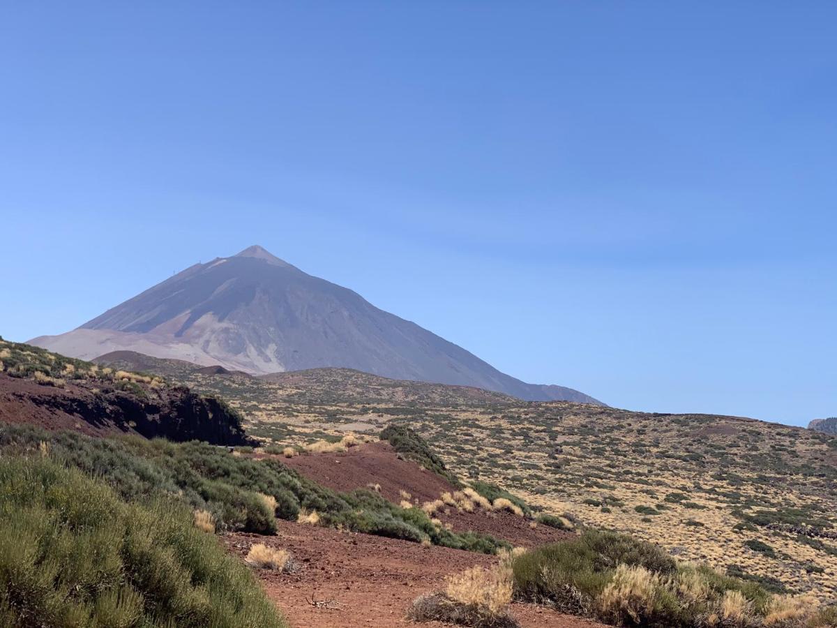 Sunny Tenerife, Cristianos, Los Cristianos (Tenerife)