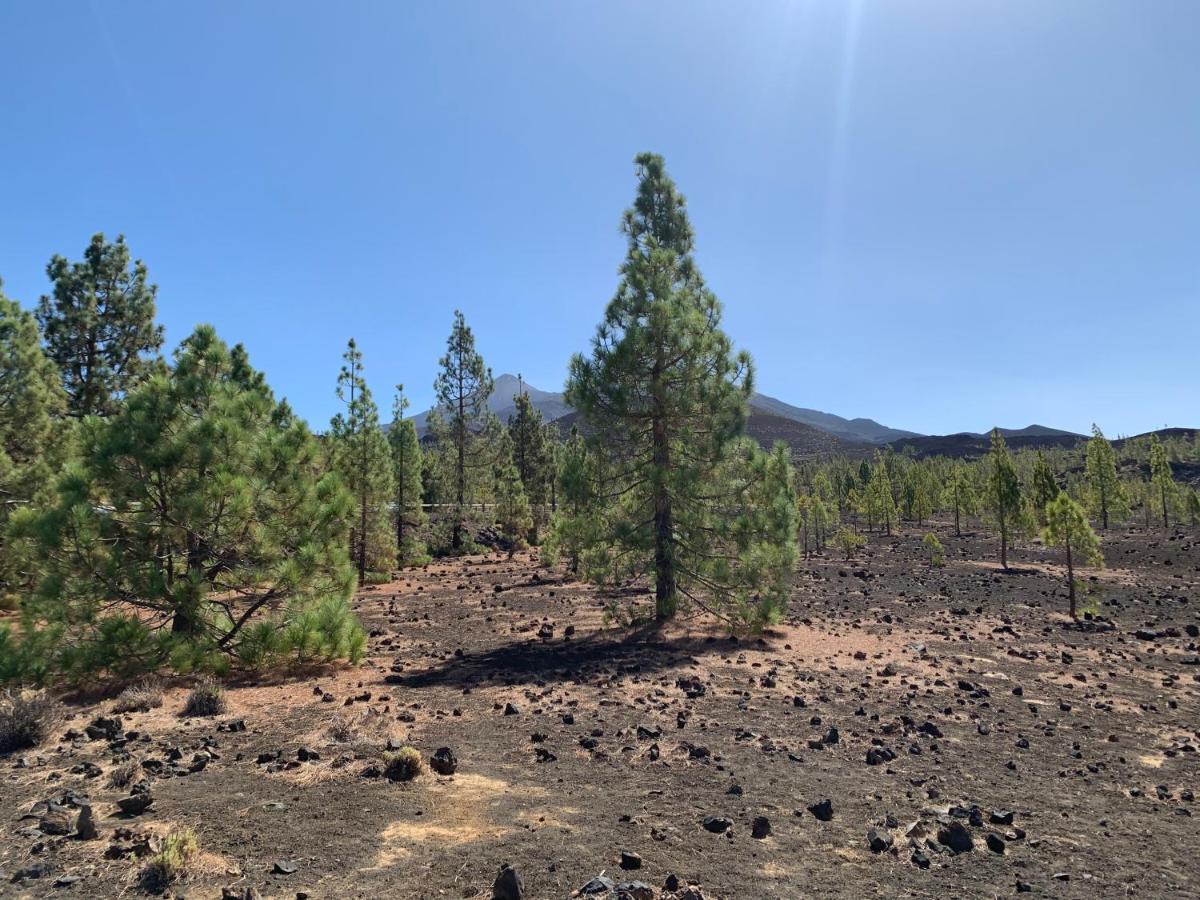 Sunny Tenerife, Cristianos, * Los Cristianos (Tenerife)