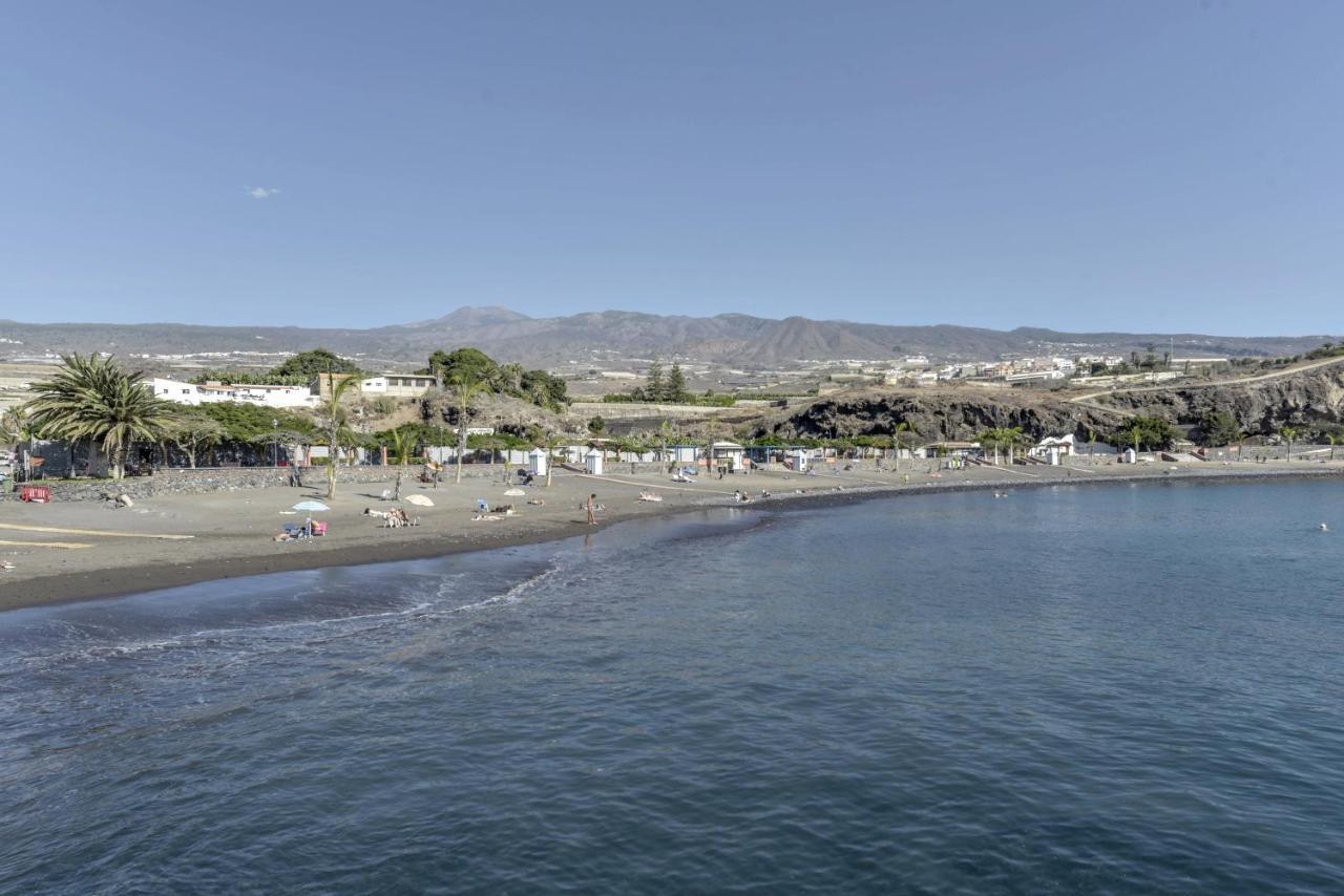 Gaviota Playa de San Juan (Tenerife)