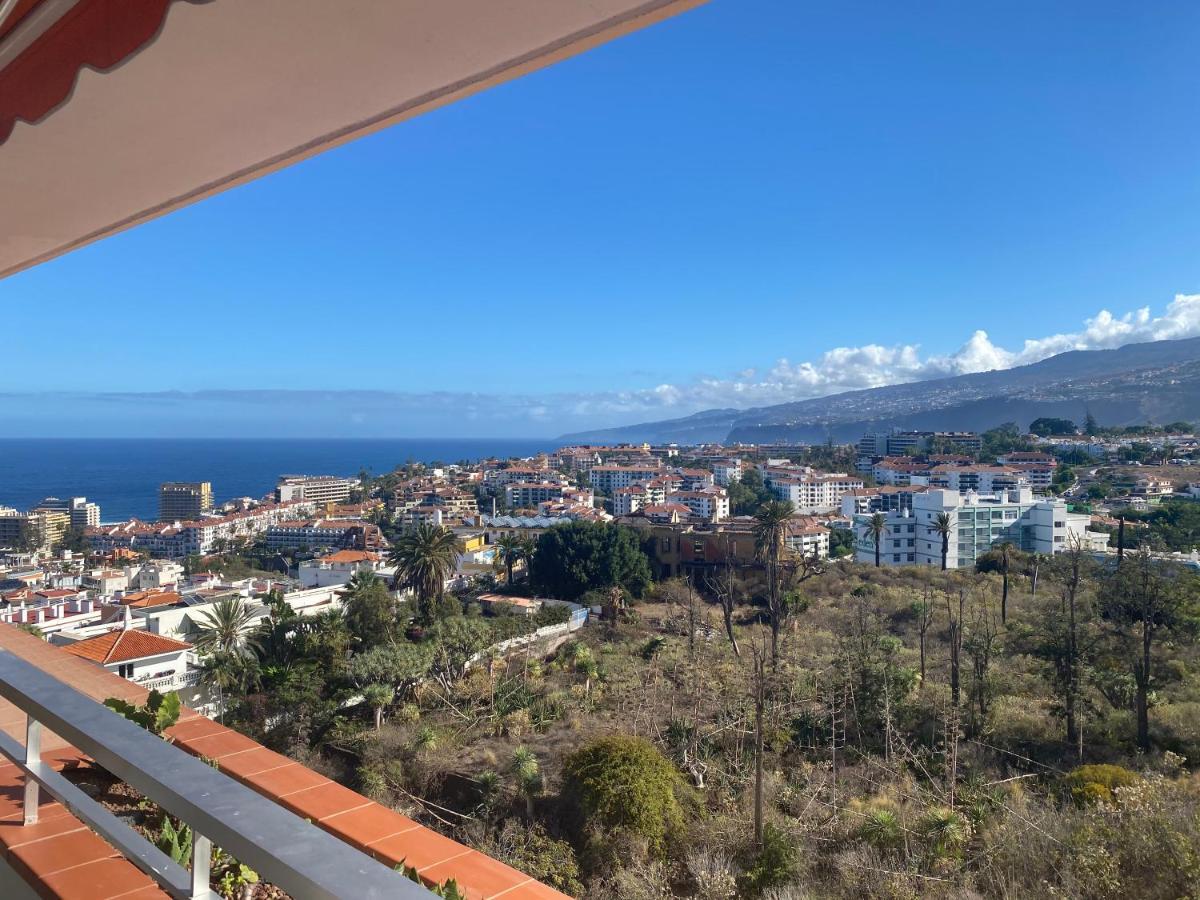 Buena Vista * Puerto de la Cruz (Tenerife)