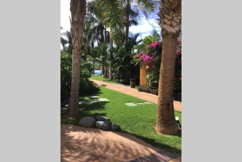 Apartamento Frente Al Mar! Playa de las Américas