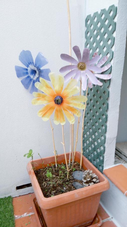 Appartement Pardela