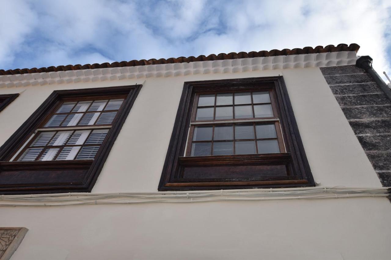 Gato Azul - Coliving Guest house La Orotava