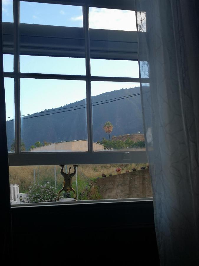 Gato Azul - Coliving