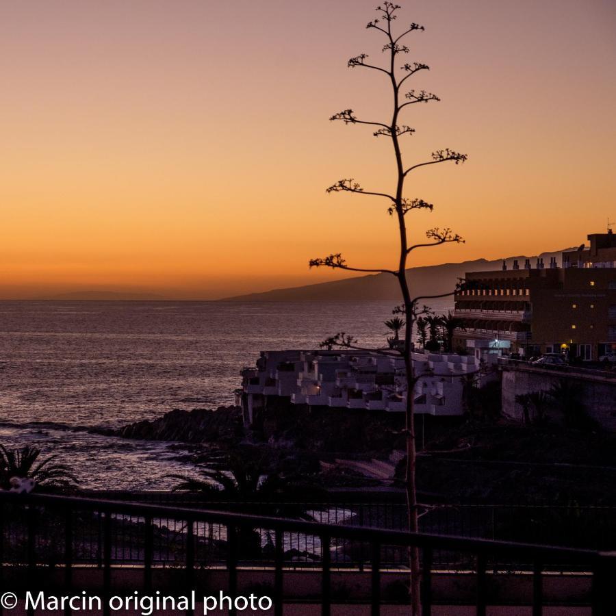 Tenerife Lizards - Duplex In The First Line Callao Salvaje