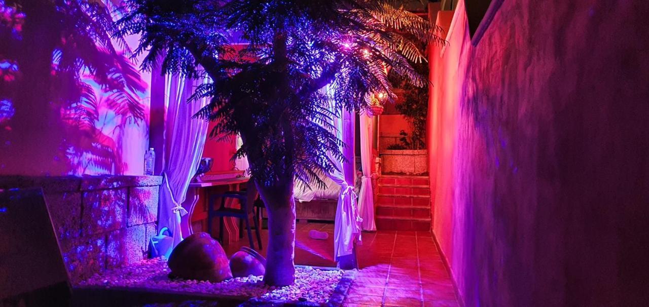 Apartamento La Finquita 21 *