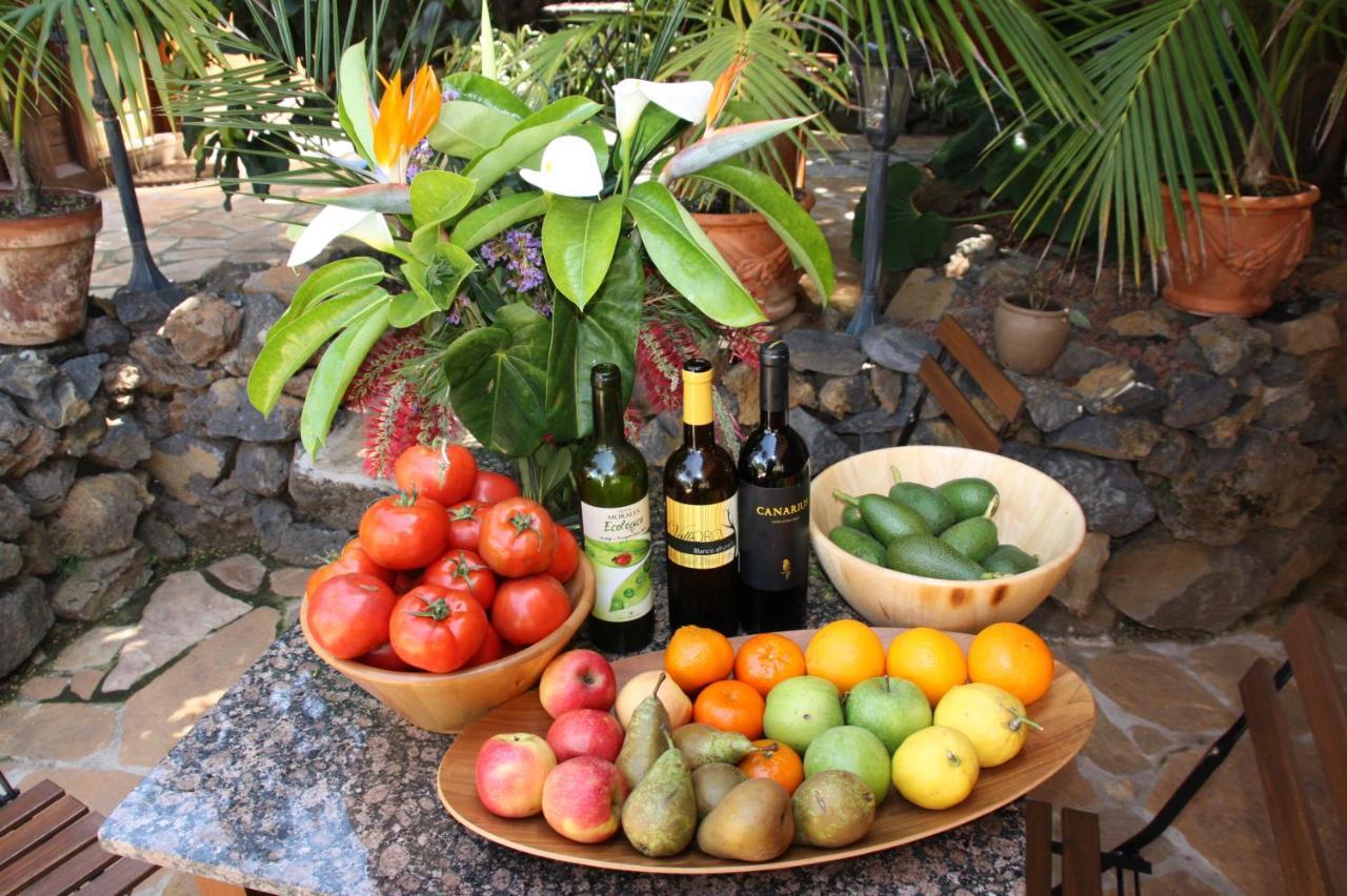 Appartement Ecologica La Orotava
