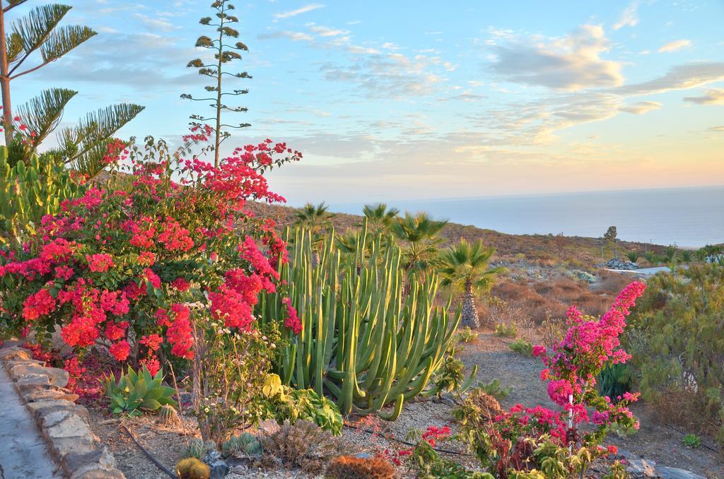 Finca La Tosca Guia de Isora (Tenerife)