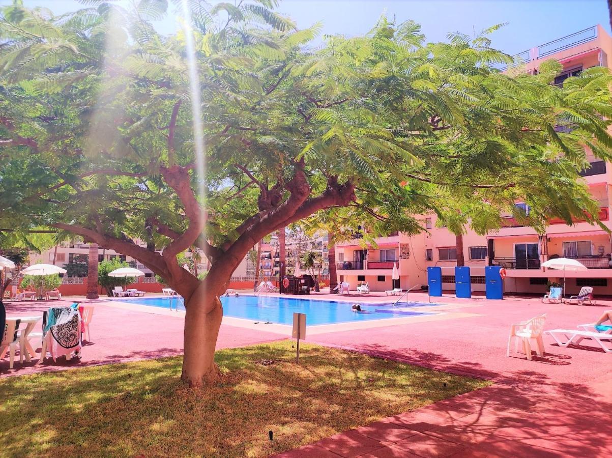 Apartment Cris Sol Los Cristianos (Tenerife)