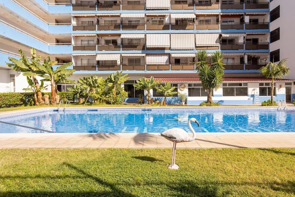 Apartment Comodo Estudio Playa Jardin