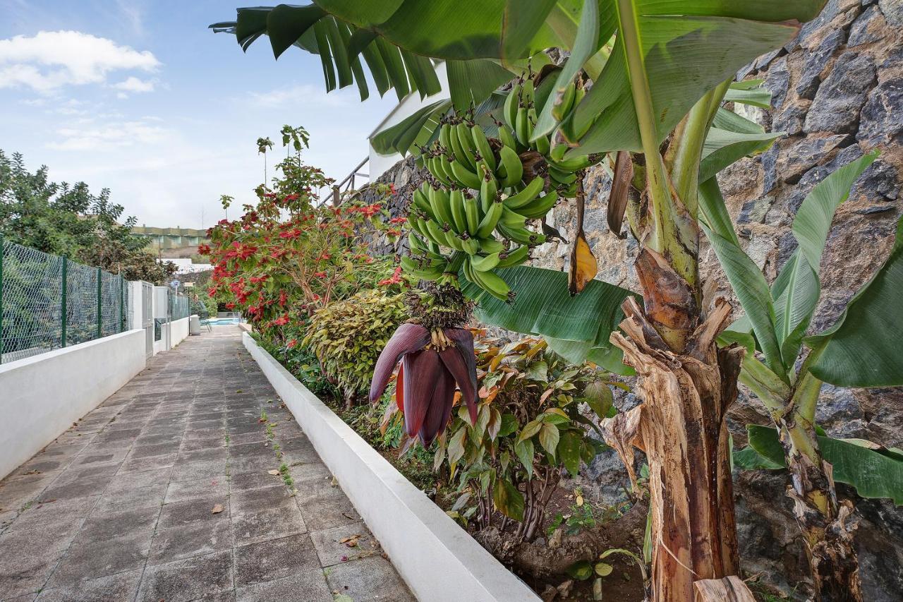 Apartamento Paradise Studio Bel Air *
