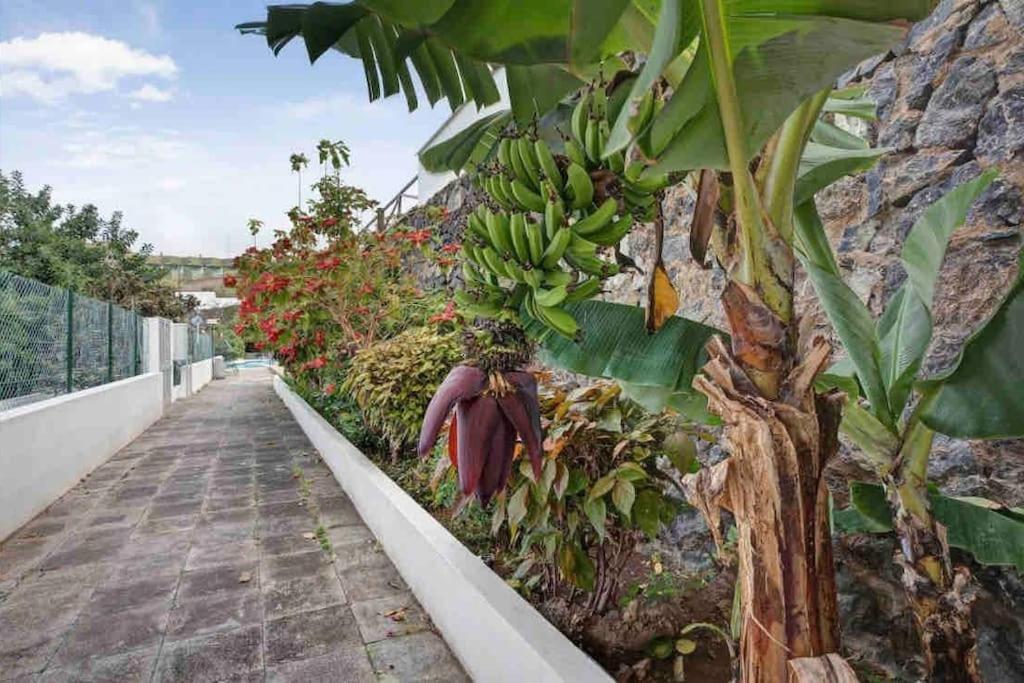 Paradise Studio Belair Wifi, Piscina, Parking Appartement
