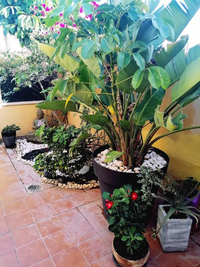 Vaiana Las Rosas (Arona, Tenerife)