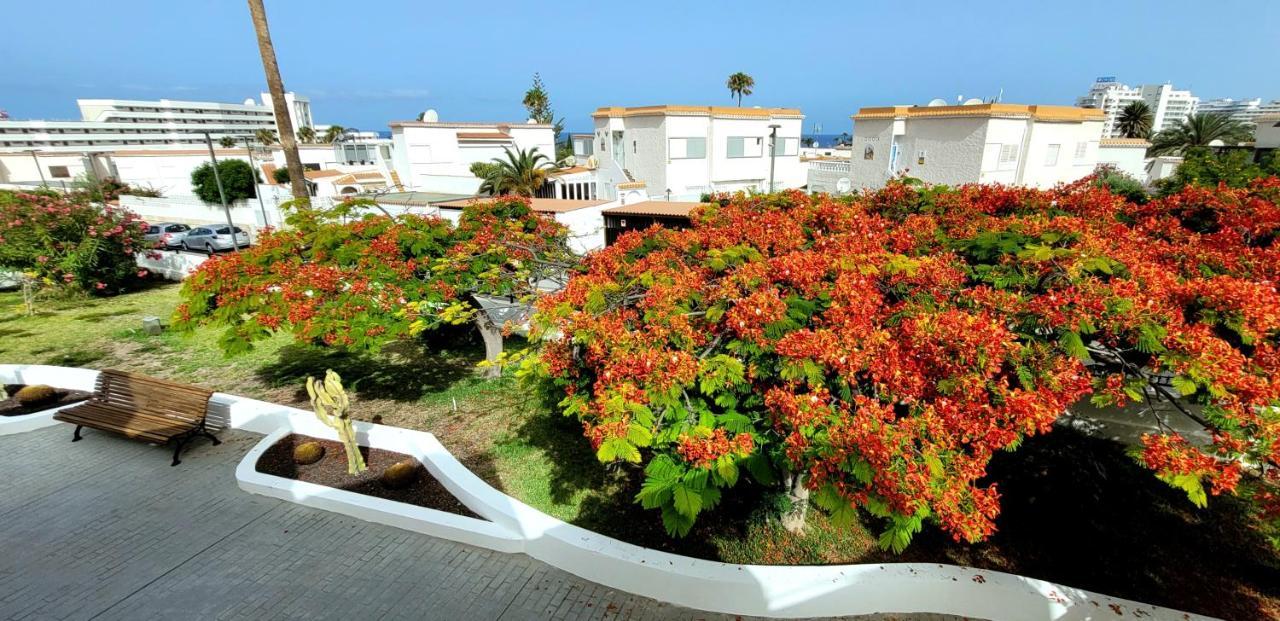 Tenerife Americas Bungalow Apartamento *