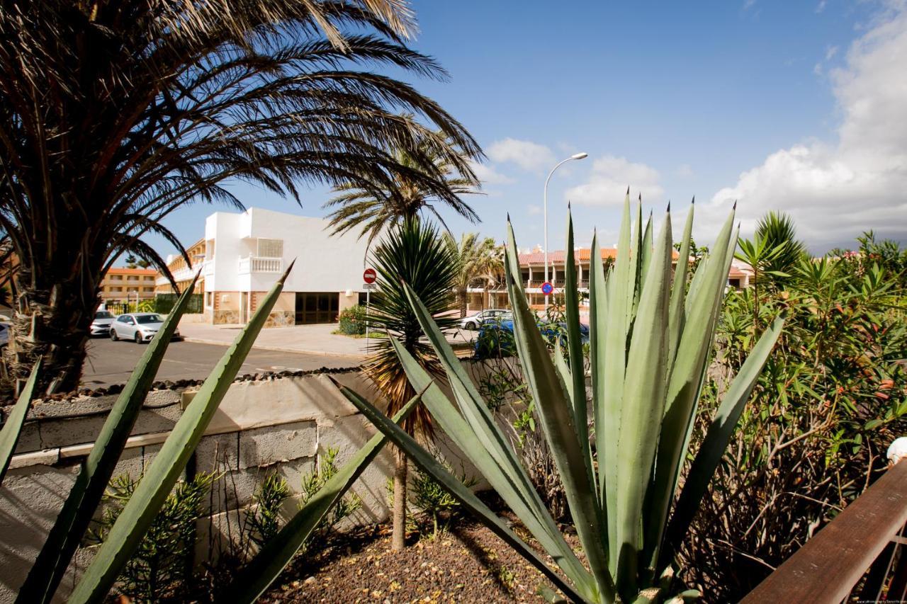 10a Amarilla Bay Pool Smart Tv Wi Fi Apartment