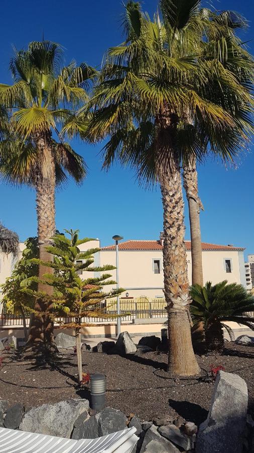 Tenerife Lizards - Duplex In The First Line *