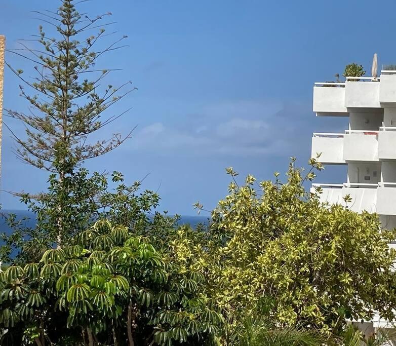 Apartment In Costa Adeje Playa De Americas Casanico *
