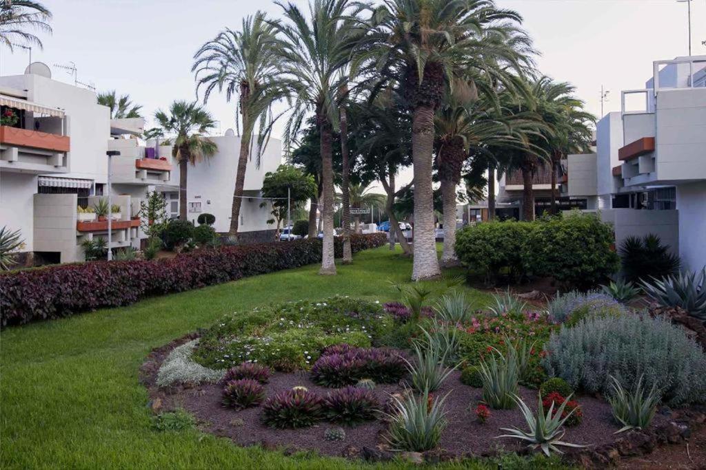 Tenerife Primavera Holiday home Arona (Tenerife)