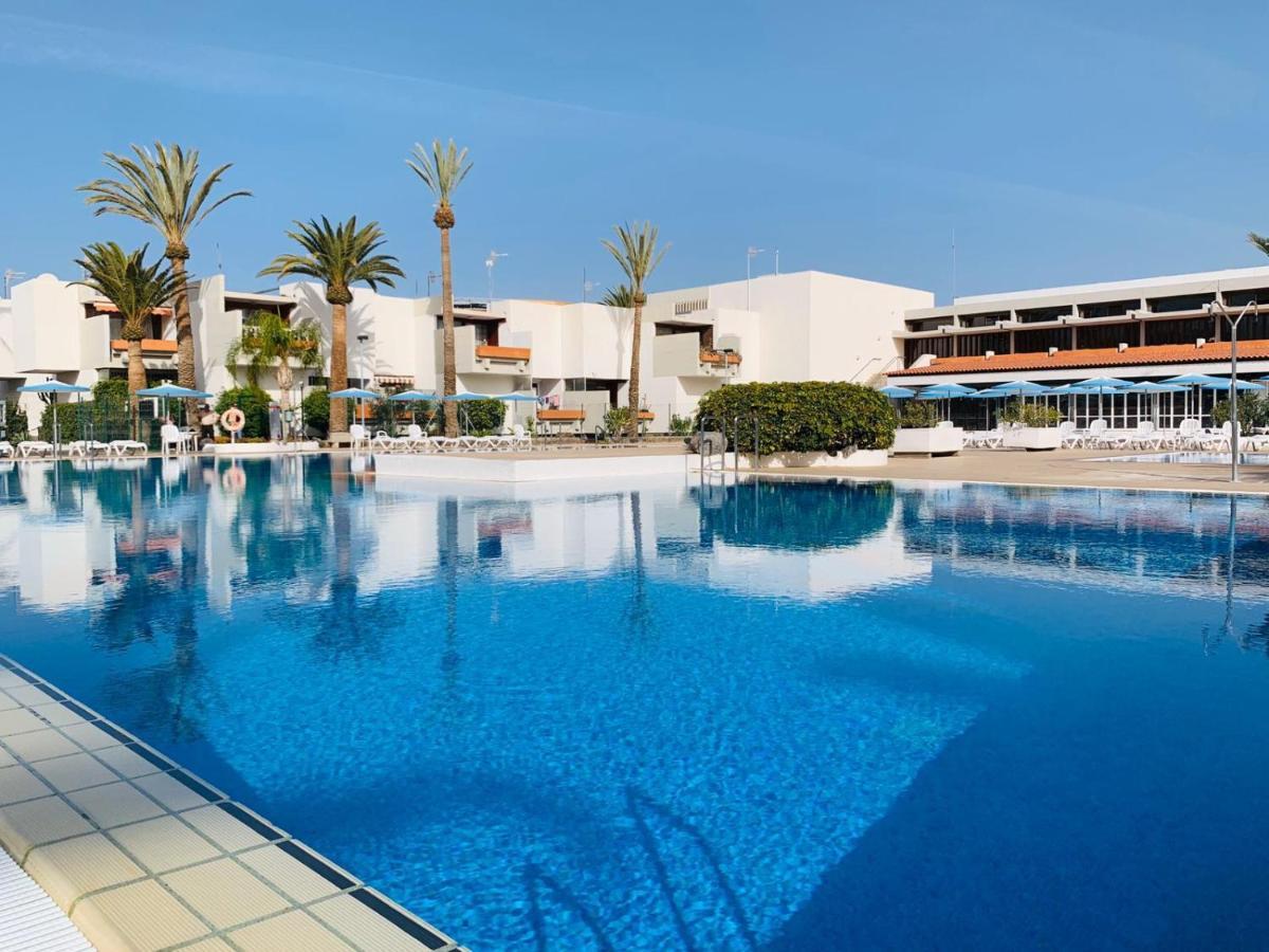 Tenerife Primavera *