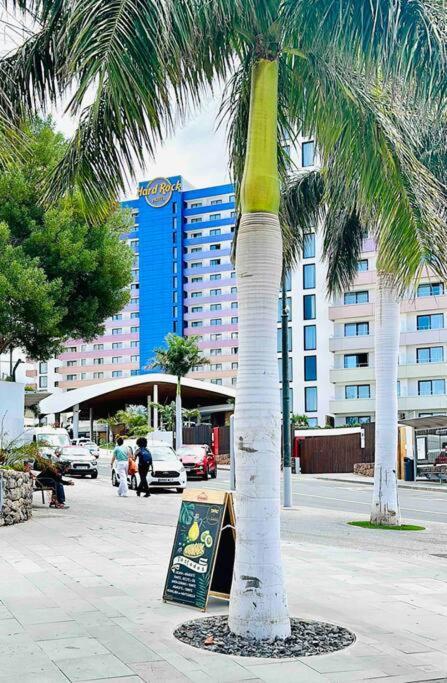 Mirador Paraiso: Superb Sea View