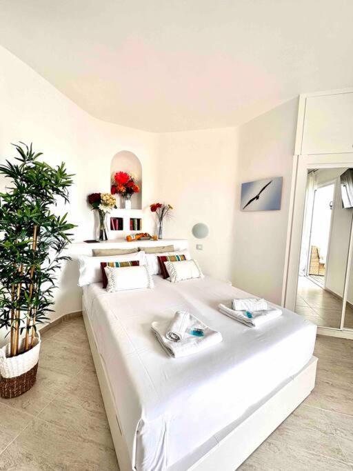 Mirador Paraiso: Superb Sea View Appartement Playa Paraiso (Tenerife)