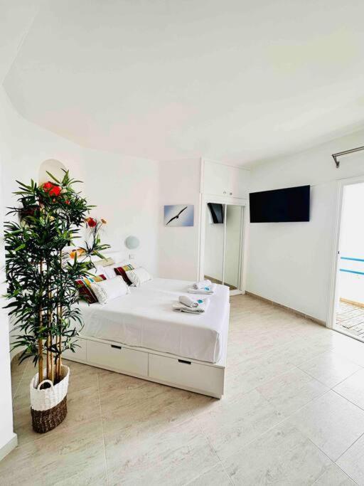 Mirador Paraiso: Superb Sea View Appartement Playa Paraiso (Tenerife)