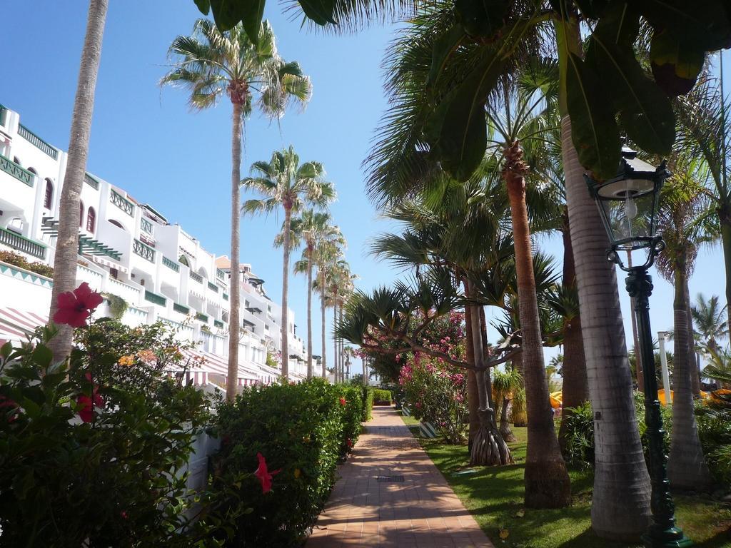 4 Santiago Playa Tenerife Estudio *