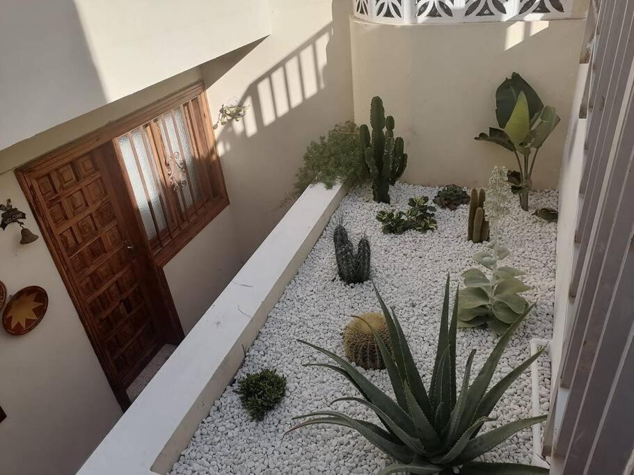 Casa Pencas De Margarita Los Realejos