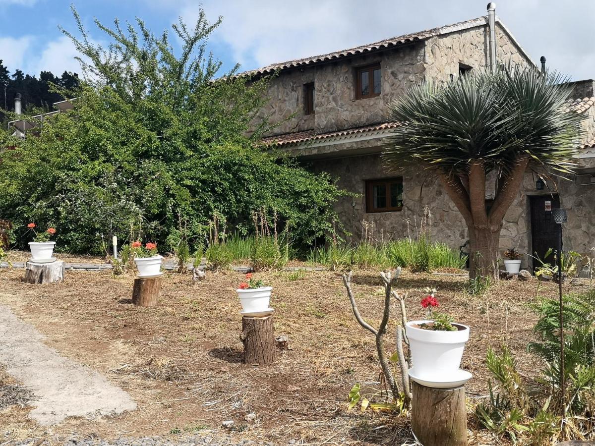 La Gustoza El Sauzal