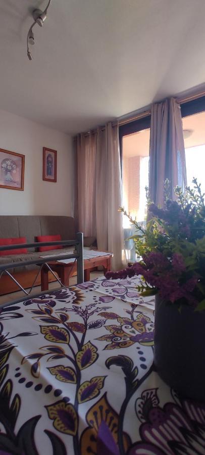 Acapulco Paradise Apartment
