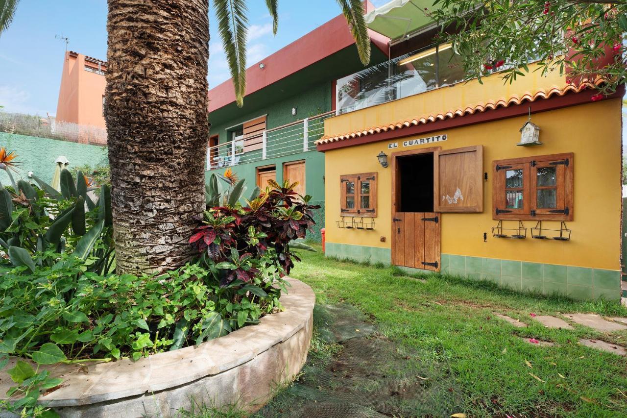 Palmeras, Un Remanso De Paz Candelaria