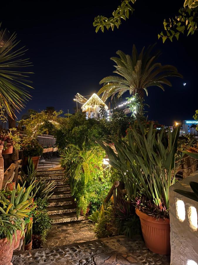 Lovely Sunny Costa Adeje (Tenerife)