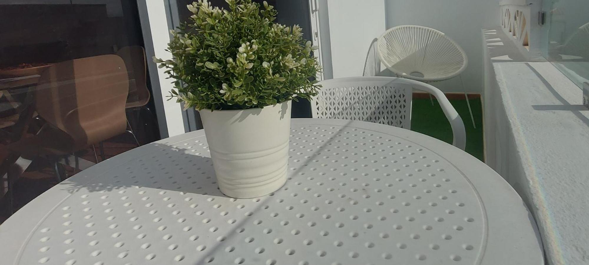 Apartment Olas Atico Penhouse With Terrace And Sea View, 2 Bedrooms *