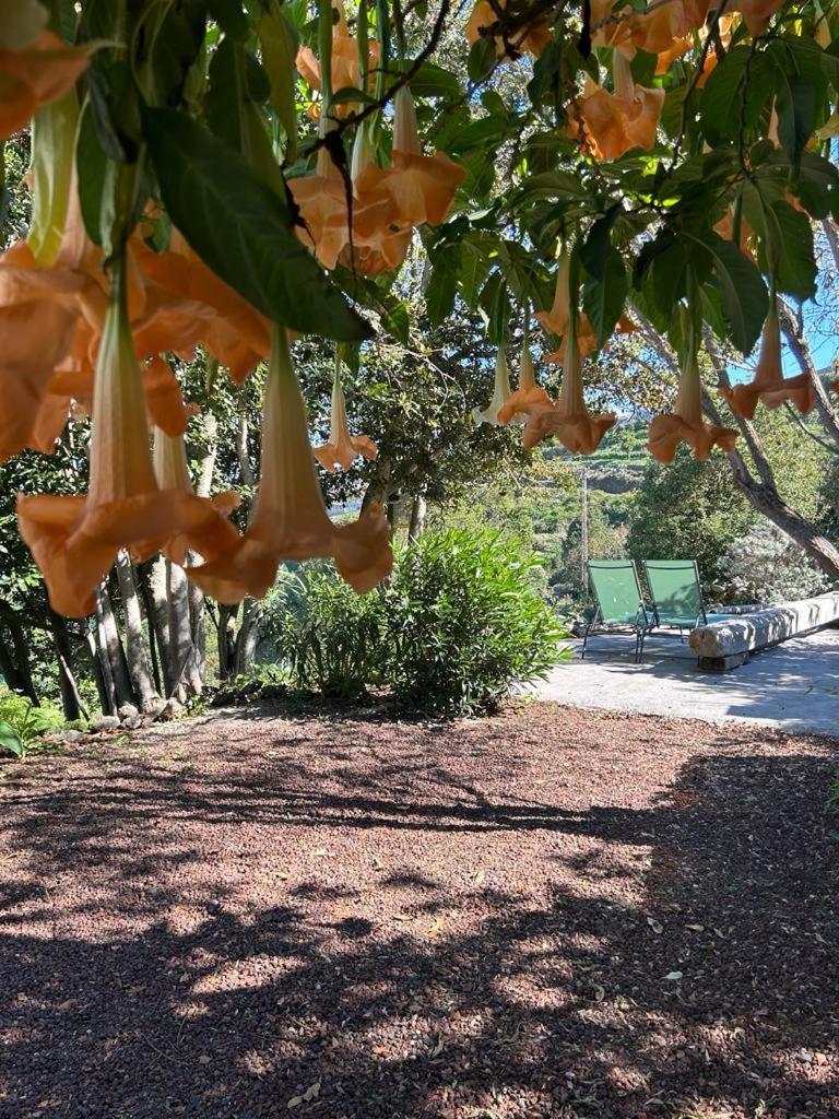 La Casita Del Lagar