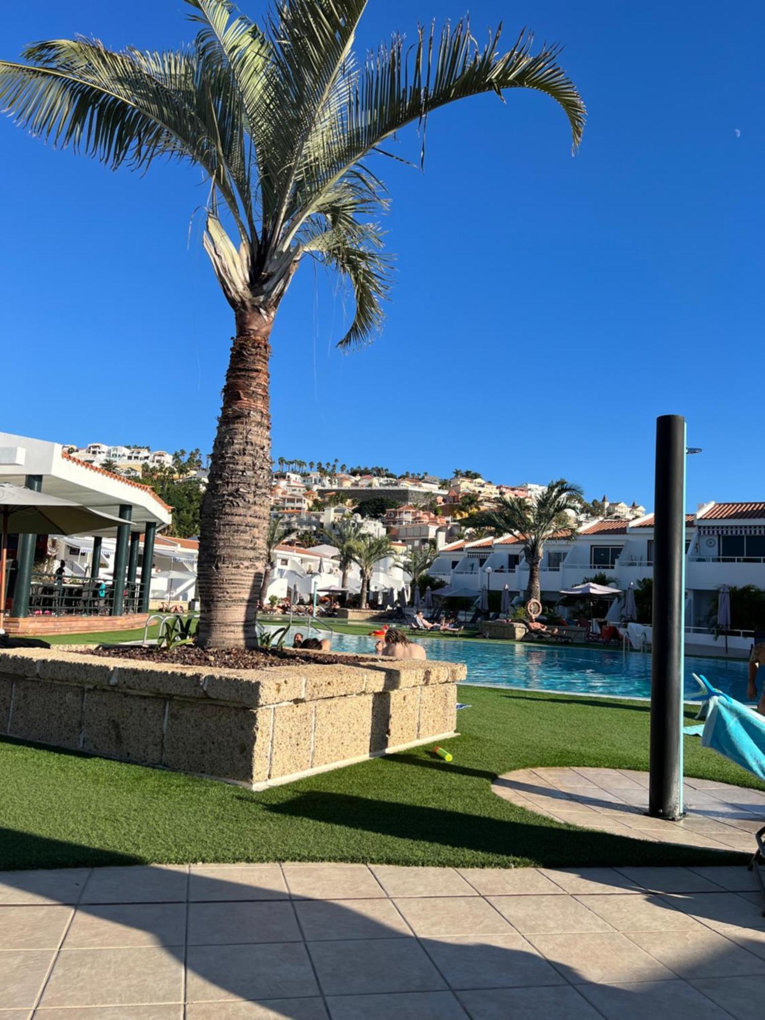 Lovely Sunny Costa Adeje (Tenerife)
