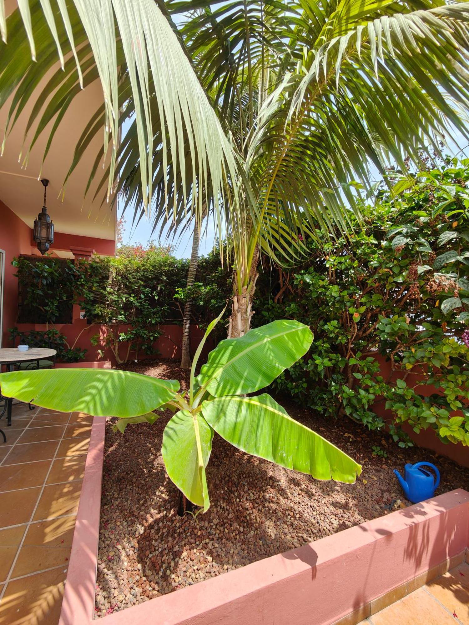 Hotel Don Candido