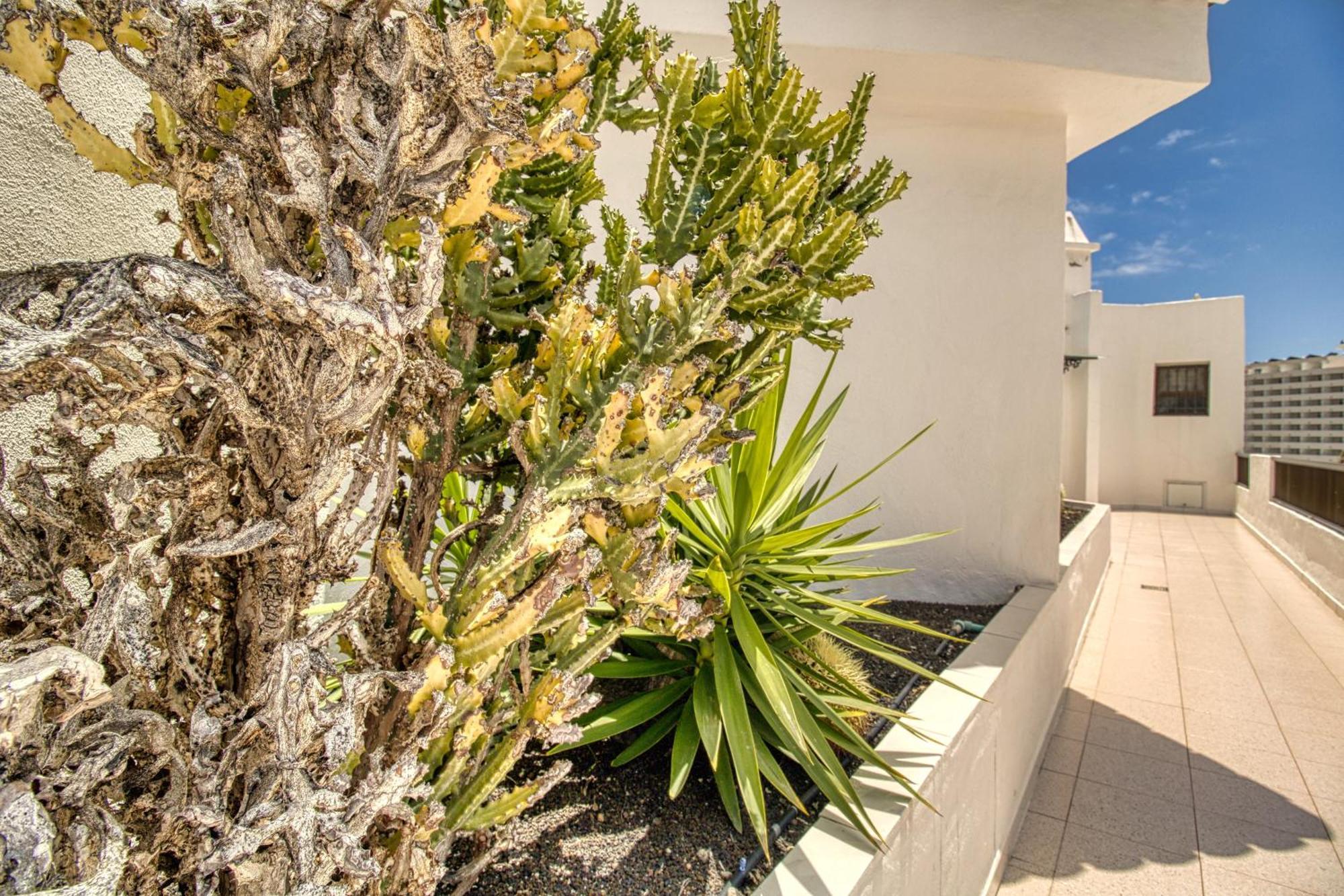 Penthouse Sea View Jacuzzy Terrace & Pool Playa Fanabe