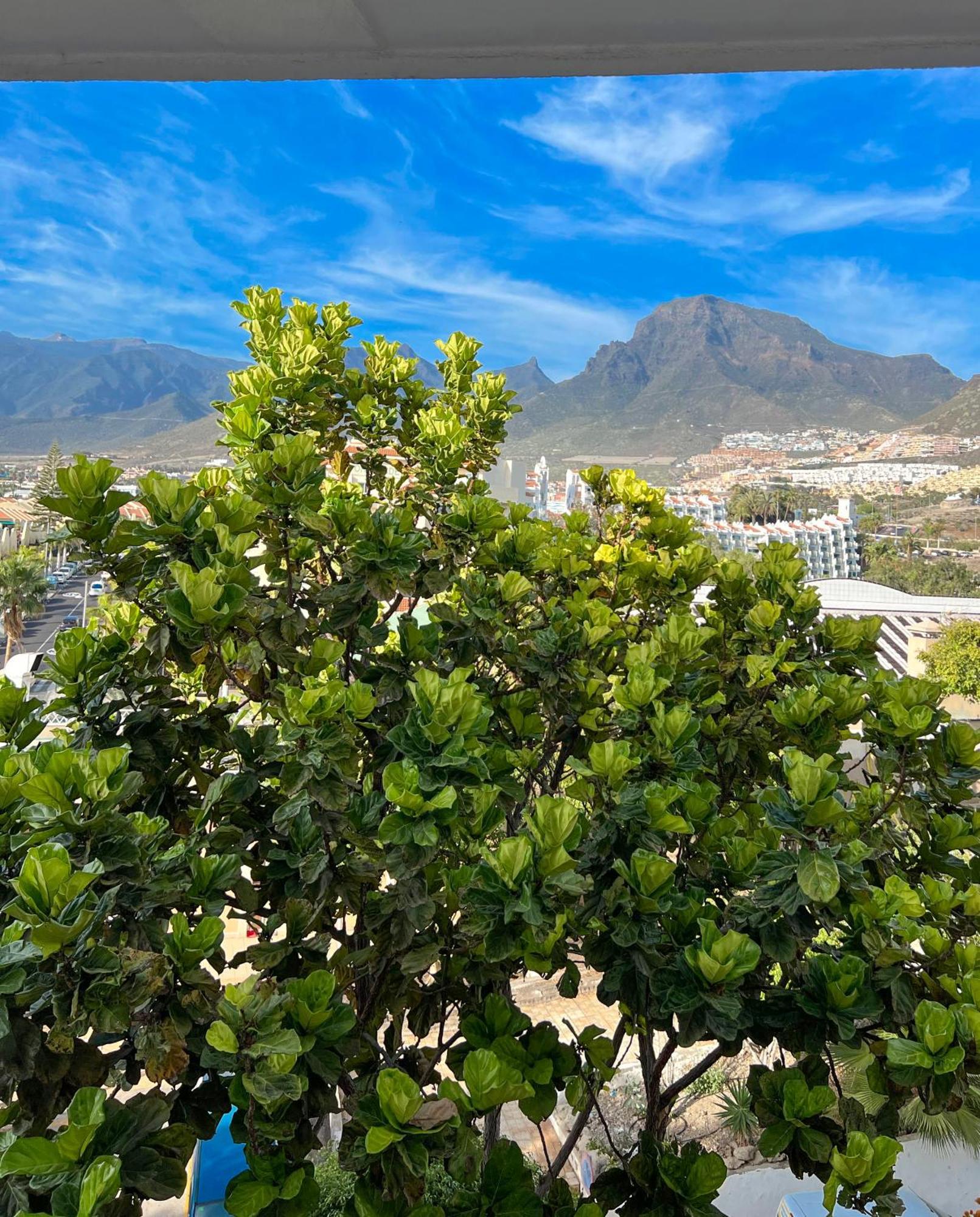 Appartement Tenerife Paradise Anna Costa Adeje (Tenerife)