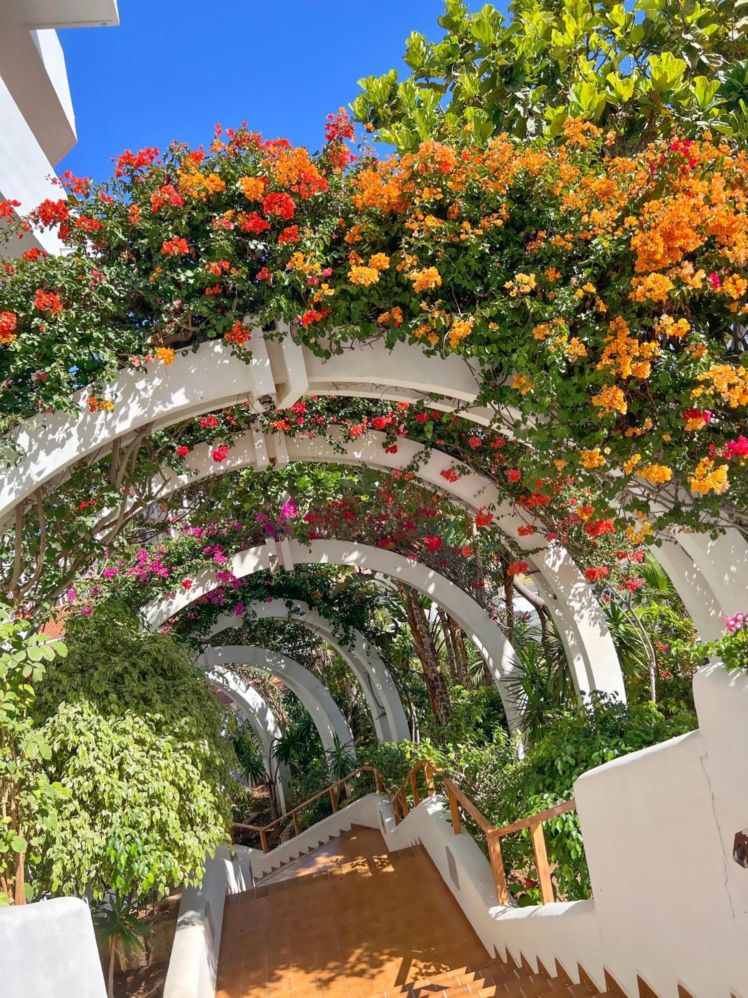 Tenerife Paradise Anna Appartement