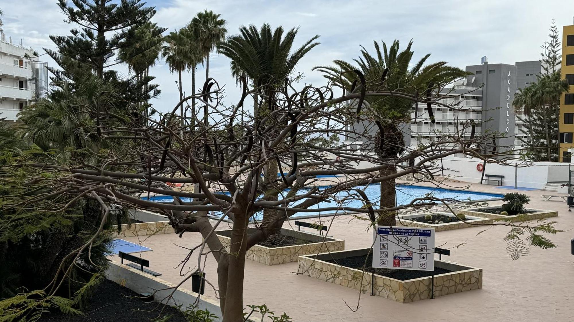 Costa Adeje Sun By Deihu Experiencias * Playa de las Americas (Tenerife)