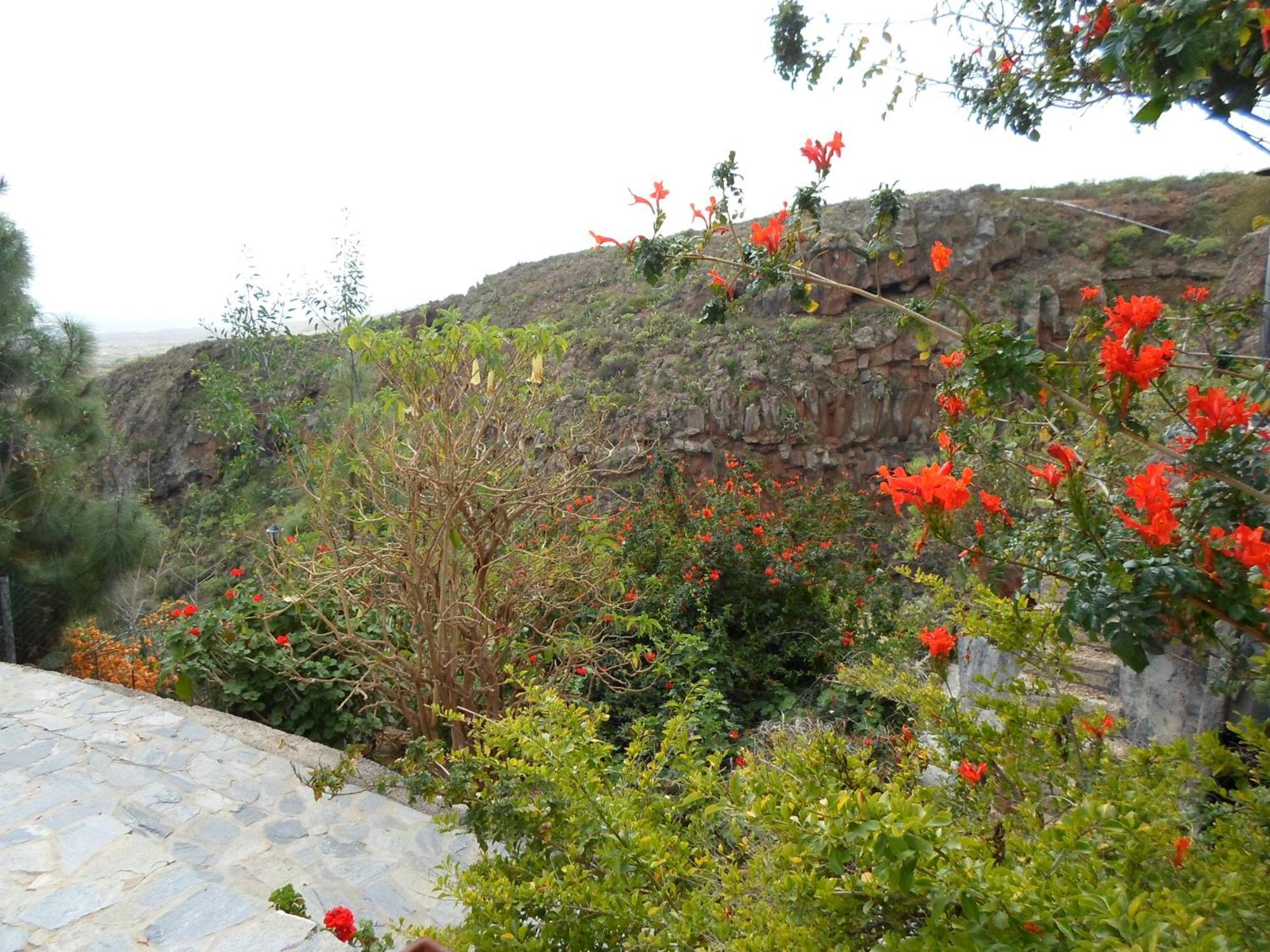 Holiday home Polinarias Casa Cueva En Fasnia