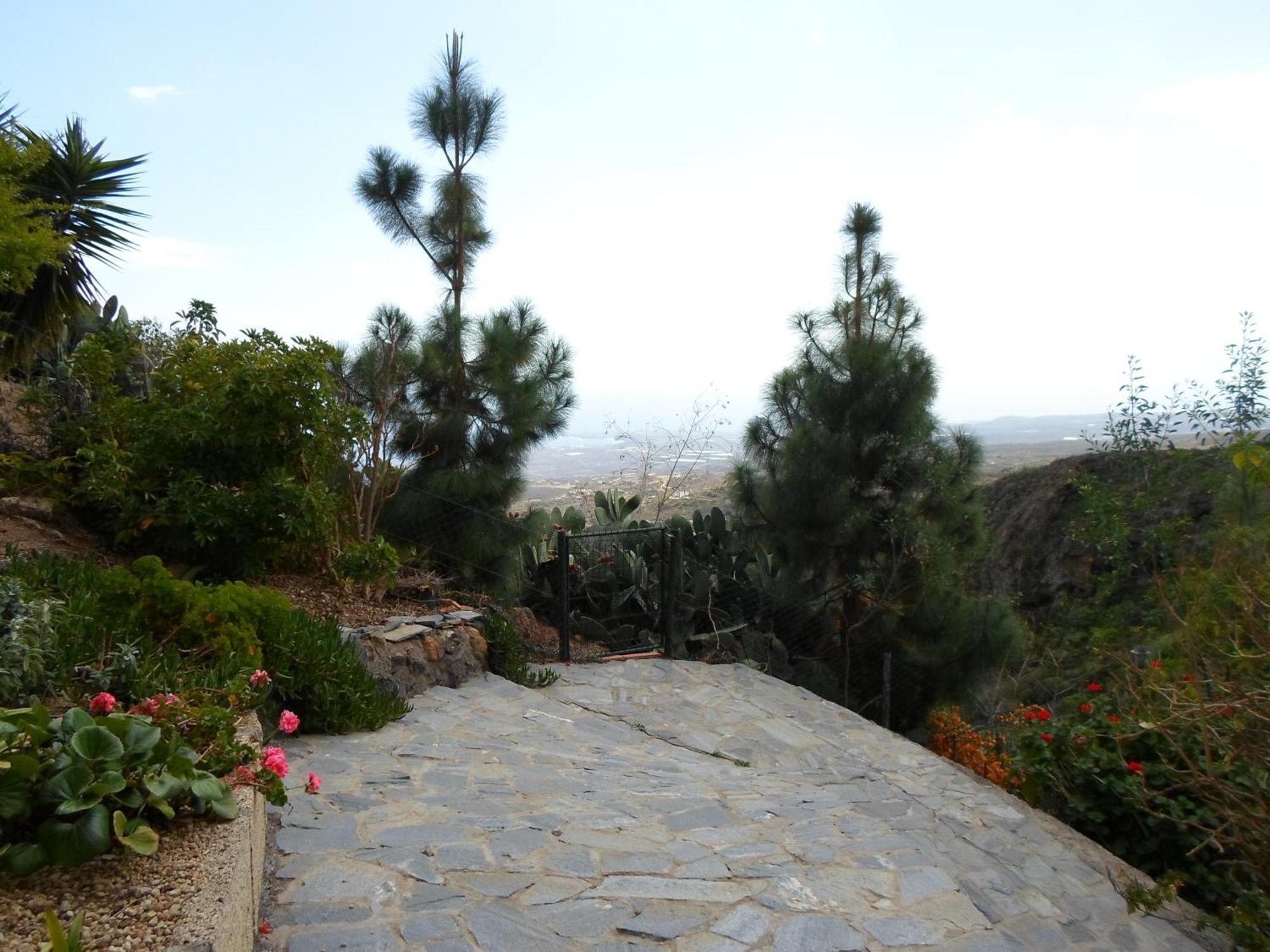 Polinarias Casa Cueva En Fasnia Holiday home