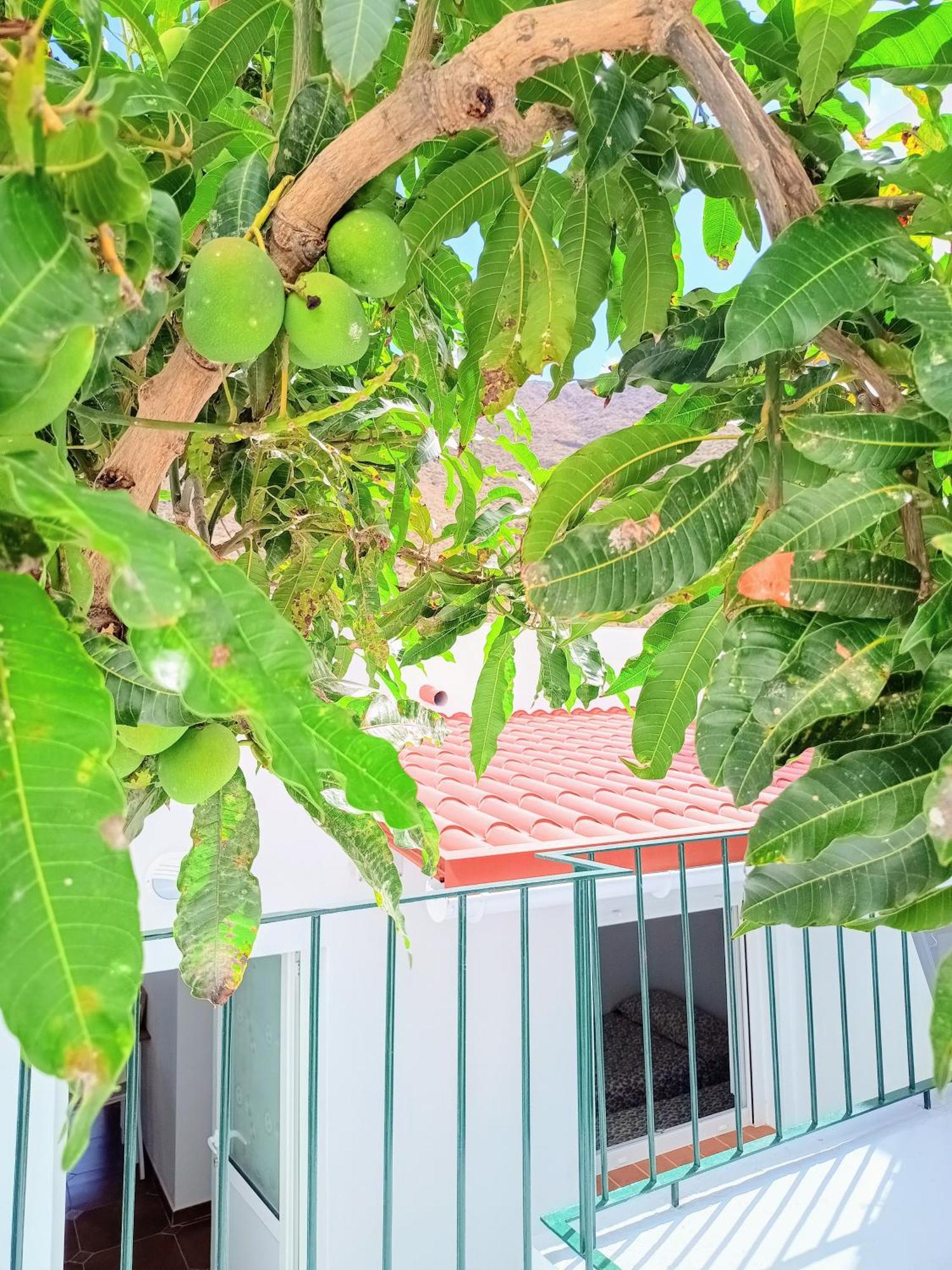 Paraiso De Anaga Apartment *