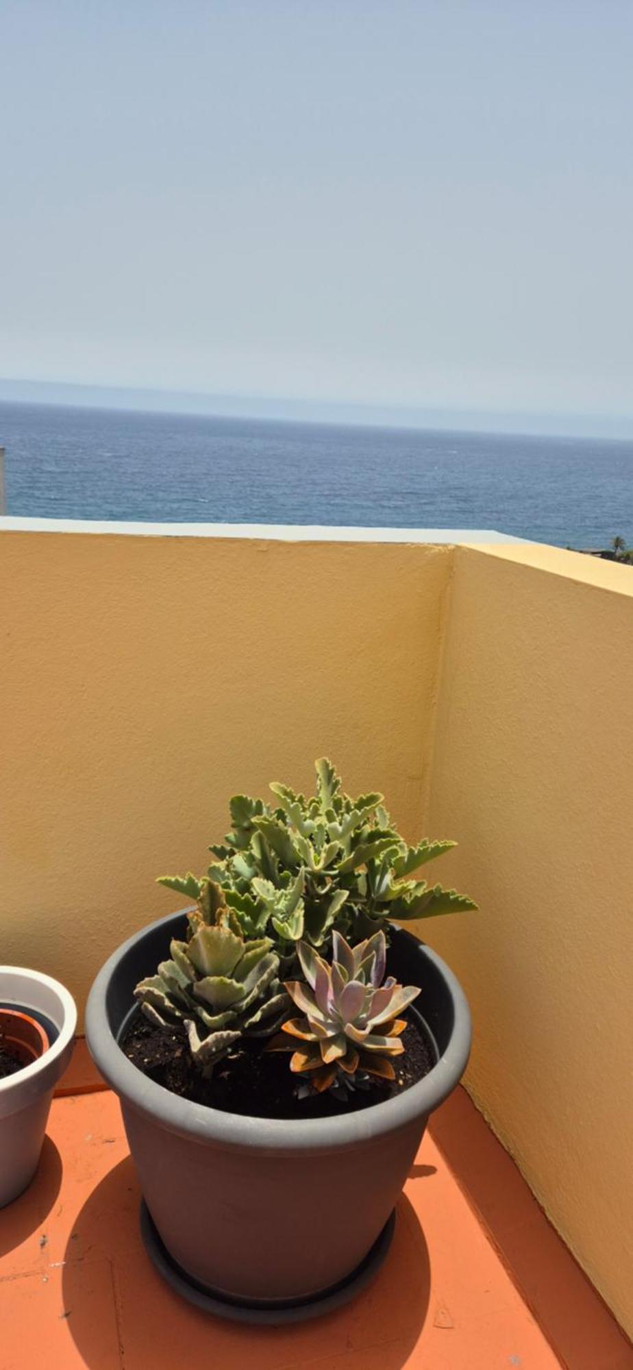 Vistas Al Mar En *