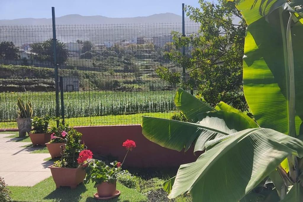 Holiday home Casa Mamatina, En Realejos *