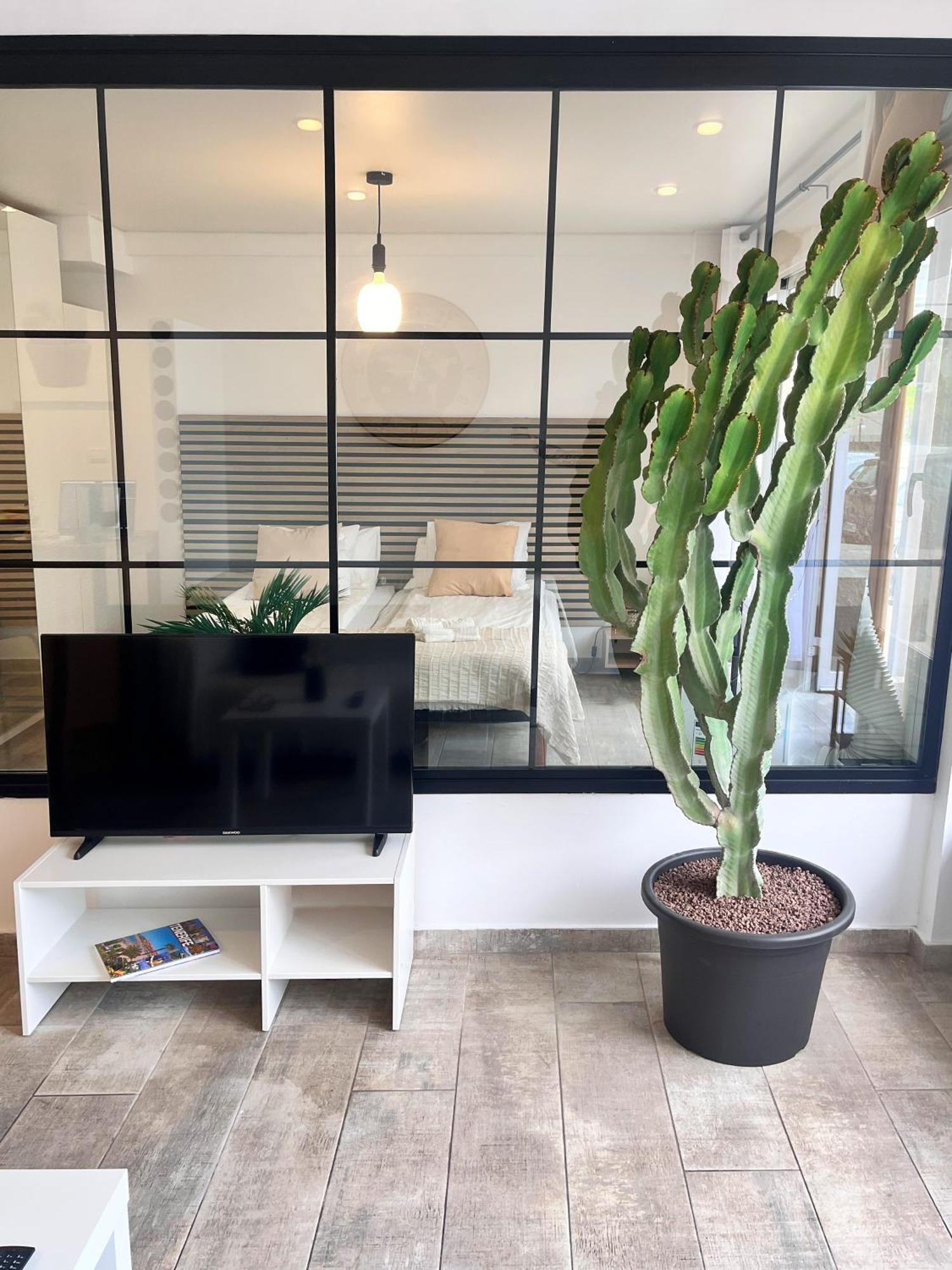 Appartement Cactus *