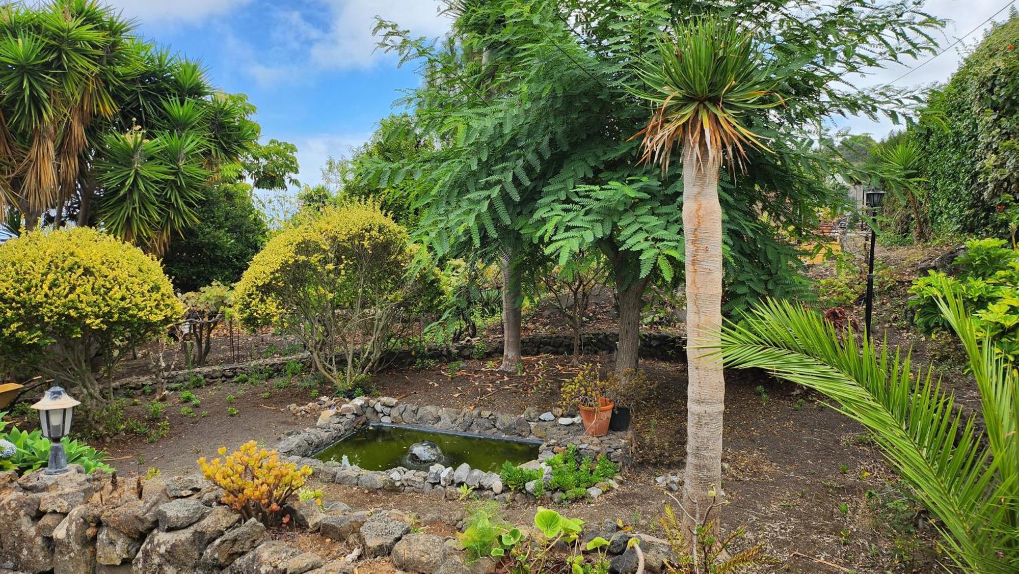 Lodge Oasis Hill Botanical Garden Icod De Los Vinos